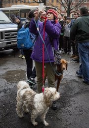 Image 439962270