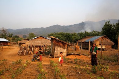 Image 440064639