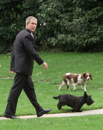 Image 440106113