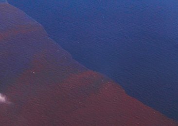 Image 440118178