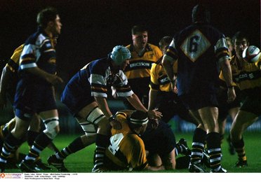 Image 440136653