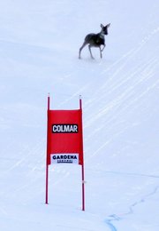 Image 440169585