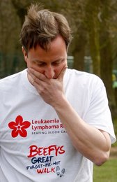Image 440242229