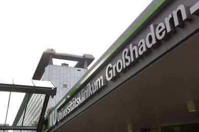 Image 440243479
