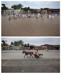 Image 440259230