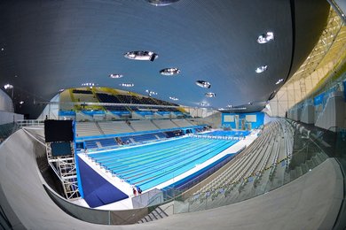 Image 440261062