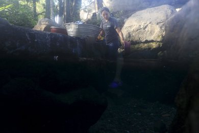 Image 440265995