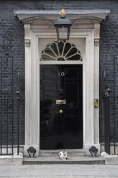 Image 440306893