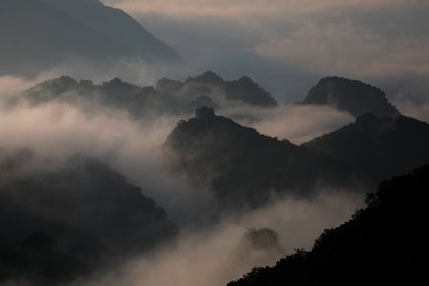 Image 440344626
