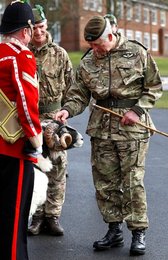 Image 440368259
