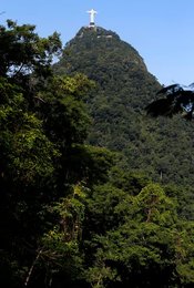 Image 440656957