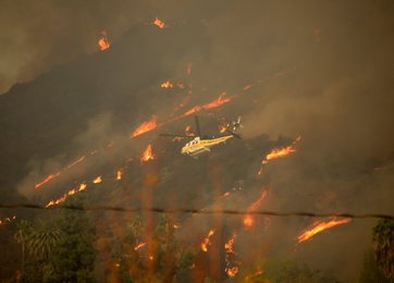 Image 440670434