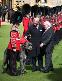 Image 440677614