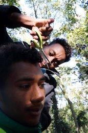 Image 440695759