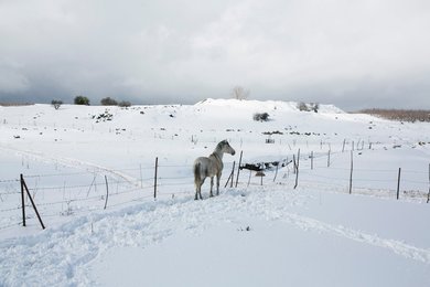 Image 440713213