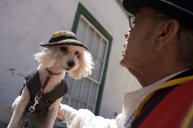 Image 440788784
