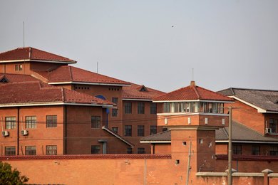 Image 441019412