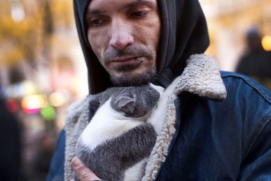 Image 441047886