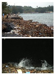 Image 441194693