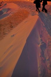 Image 441240819