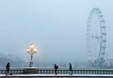 Image 441262494