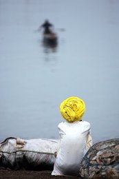 Image 441374511