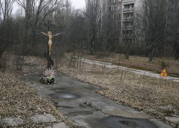 Image 441483330