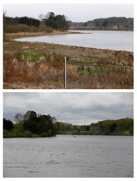 Image 441521297