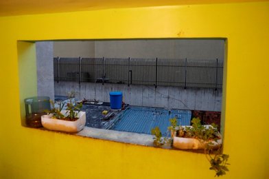 Image 441707297