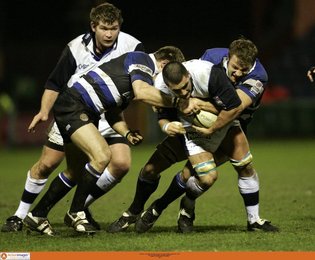 Image 441829877