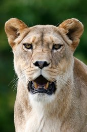 Image 441858119