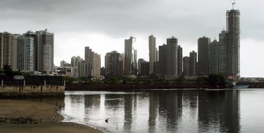 Image 441950499