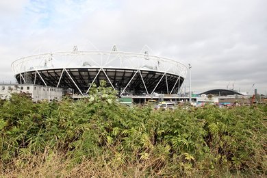 Image 441993284