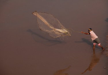 Image 442014751