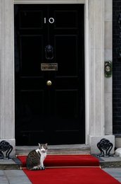 Image 442018829