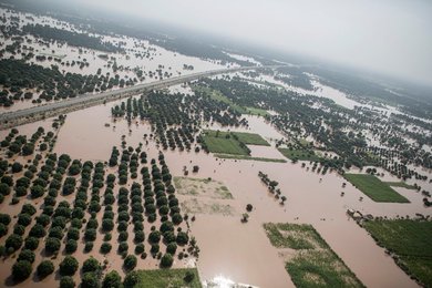 Image 442021841