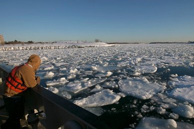 Image 442054516