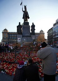 Image 442130019