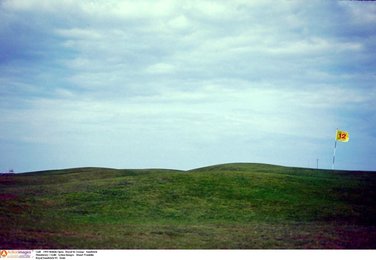 Image 442215652