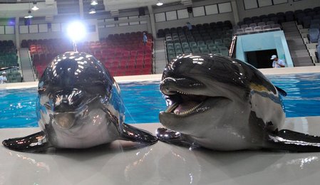 Image 442260313