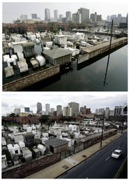 Image 442313353