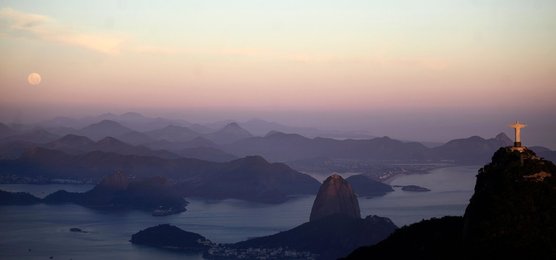 Image 442329355