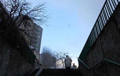Image 442417454