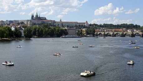 Image 442534349