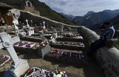 Image 442567365