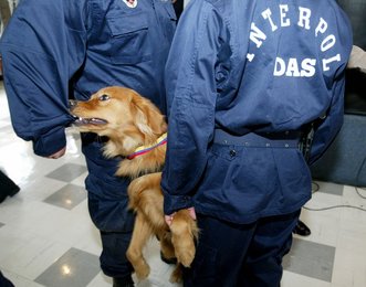 Image 442583861