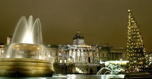 Image 442585523