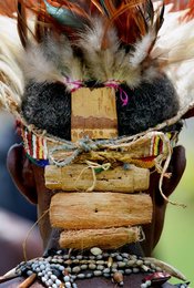 Image 442598766