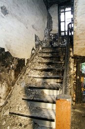 Image 442601530