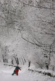 Image 442633669